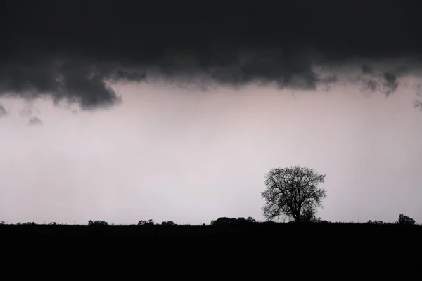 Sturm mit Blitz - Landschaft — Stockfoto