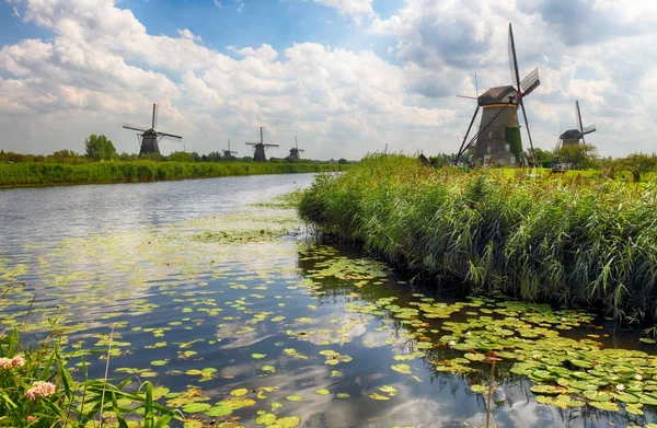 Bela paisagem de moinho de vento holandês em Kinderdijk, na Holanda — Fotografia de Stock