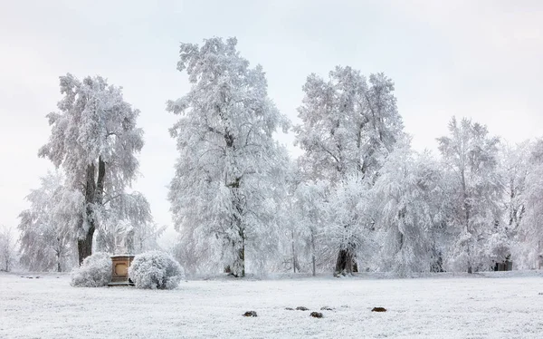 Природа зимы, кусты и деревья, покрытые снегом — стоковое фото