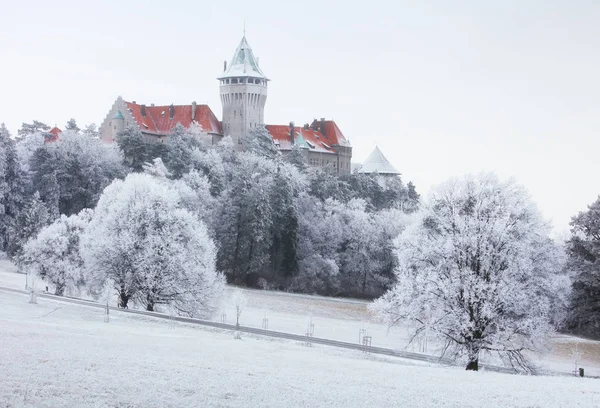 Kış landcape ile kale Smolenice, Slovakya. — Stok fotoğraf