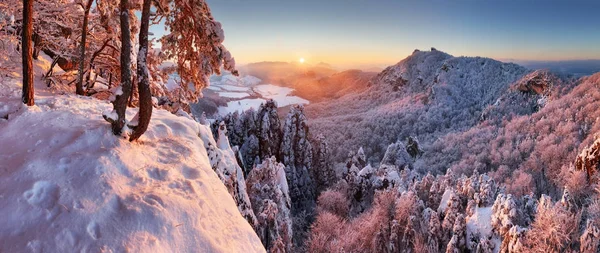 Schöne Winter-Panoramalandschaft mit schneebedeckten Bäumen, slo — Stockfoto