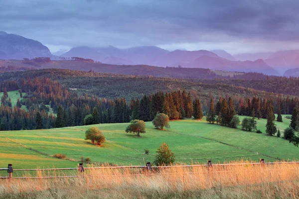 Valla de madera con campos de pastos verdes con montañas Tatra en t —  Fotos de Stock