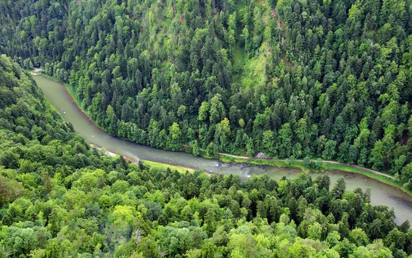 Floresta Paisagem montanhosa com rio Dunajec do pico Sokolica , — Fotografia de Stock