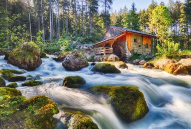 Avusturya, yatay, şelale ve Salzburg, Go yakınındaki watermill