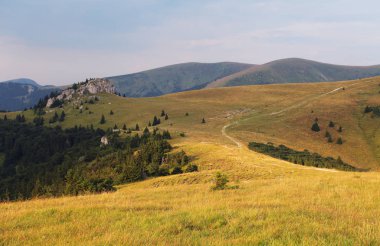 Çayır ve orman Fatras dağlarında