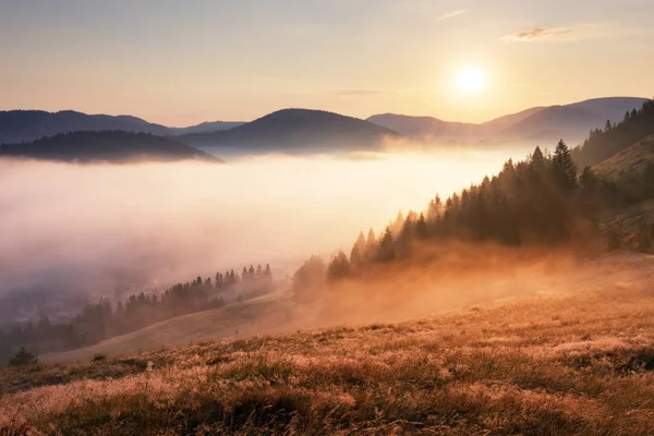 Landcape com sol, prado, floresta e montanha. — Fotografia de Stock