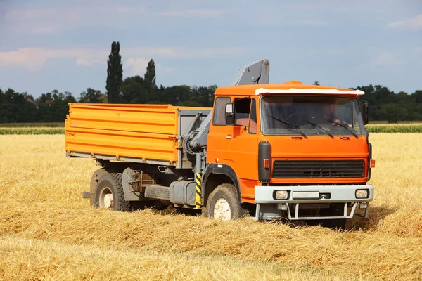 Camion de voiture sur champ de blé, récolte — Photo