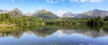 Tatras yeşil orman - Strbske pleso, Slovakya
