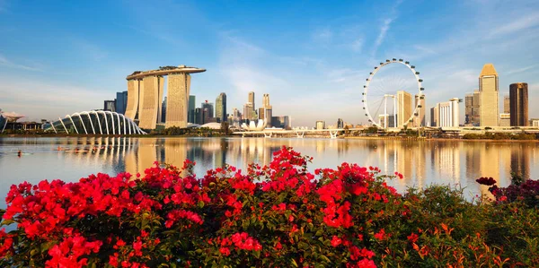 Singapur ciudad panorama de día con flores — Foto de Stock