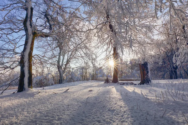 Dağlardaki güzel kış manzarası. Gün doğumu — Stok fotoğraf