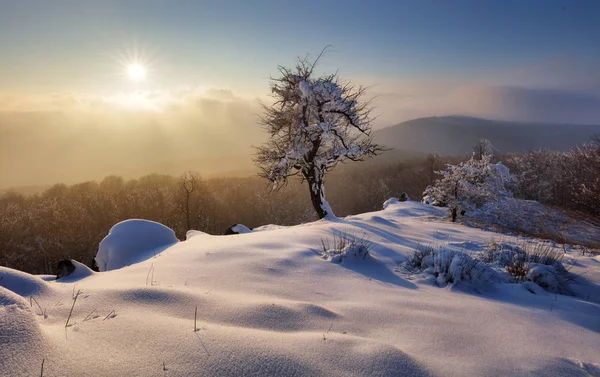 Hermoso paisaje de invierno en las montañas. Amanecer — Foto de Stock