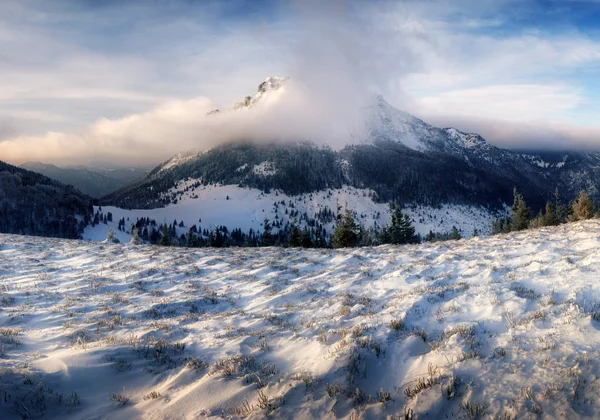 Вершина Словакии Rozsutec зимой из Осницы — стоковое фото