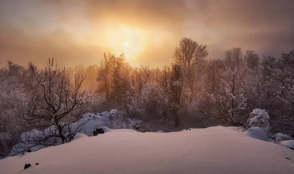 Hermoso paisaje de invierno en las montañas. Amanecer —  Fotos de Stock