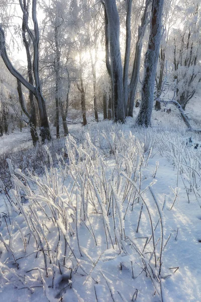 Bela paisagem de inverno nas montanhas. Nascer do sol — Fotografia de Stock