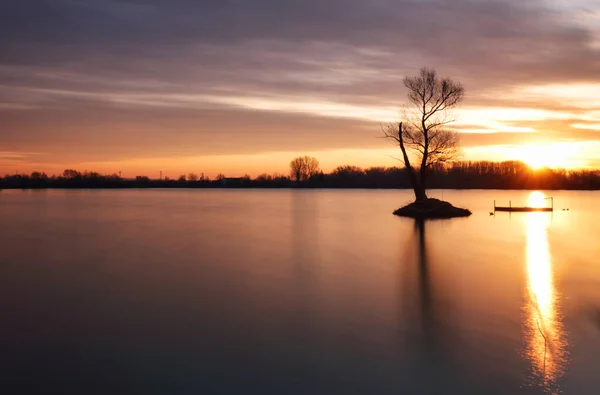 Lago Com Árvore Sozinho Pôr Sol Dramático — Fotografia de Stock