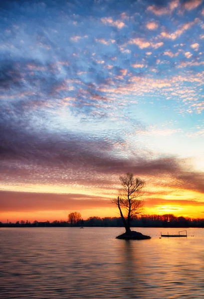 Λίμνη Μόνη Δέντρο Στο Δραματικό Ηλιοβασίλεμα — Φωτογραφία Αρχείου