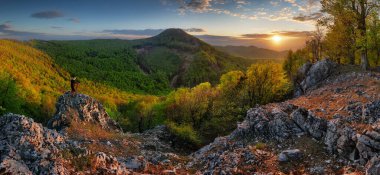 Dramatik günbatımında tepe ve güneşli orman manzarası, Slovakya - Karpatya