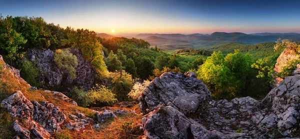 Sprinf Skog Moutain Landskap Panorama Vid Soluppgången Slovakien — Stockfoto