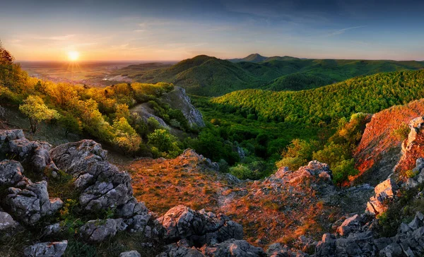 Krásný Jarní Pohled Karpaty Při Západu Slunce — Stock fotografie