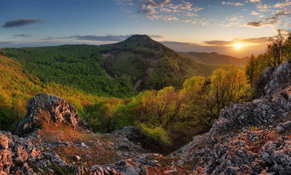 Naturlandschaft Mit Wald Und Felsen Slowakei Gipfel Vysoka — Stockfoto