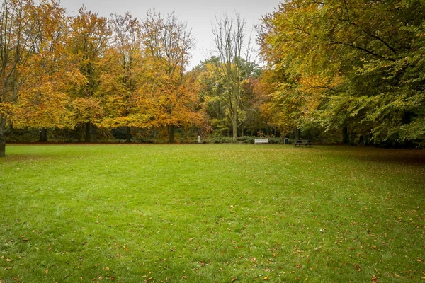 11月の紅葉の公園霧の季節 — ストック写真