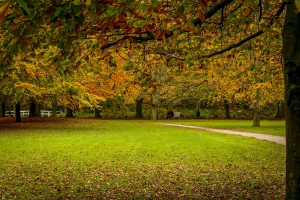 Parks in der Herbstsaison Farben der Novembersaison Nebel — Stockfoto