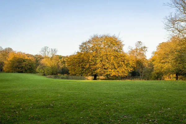 11月の紅葉の公園霧の季節 — ストック写真