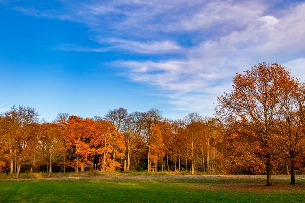 Belas cores da temporada de outono com céu azul foto paisagem — Fotografia de Stock
