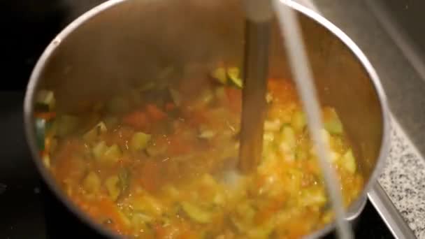 Corte de legumes com um misturador — Vídeo de Stock