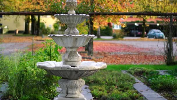 阿斯科纳花园的一个广角的喷泉 — 图库视频影像