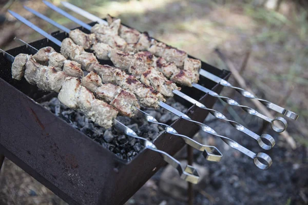 Carne marinada para kebab — Foto de Stock