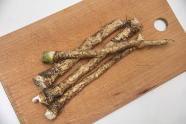 birkaç horseradish turp 