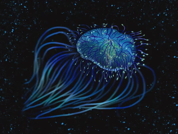 Marine Bioluminescence Luminous Squid Transparent Luminous Jellyfish Bright Poisonous Sea — Stock Photo, Image