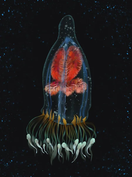 Deniz Biyolüminesansı Parlak Mürekkep Balığı Şeffaf Parlak Denizanası Parlak Zehirli — Stok fotoğraf