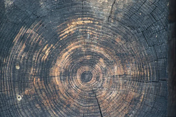Старі текстури деревини — стокове фото