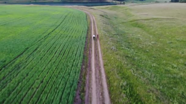 Para zakochanych wędruje drogą wzdłuż pola. — Wideo stockowe