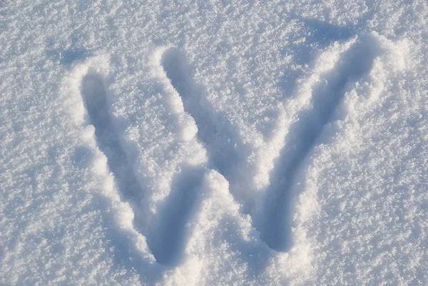 Real snow letters - letter W