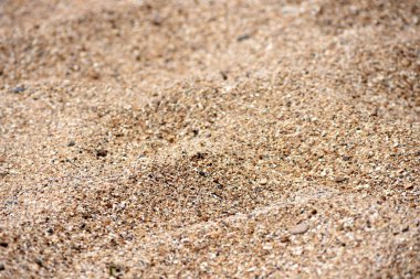 Texture of a golden sandy beach, sand boulders