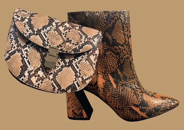 Композиція Аксесуарів Brown Snake Clutch Snakeskin Cowboy Boots Ізольовані Коричневому — стокове фото