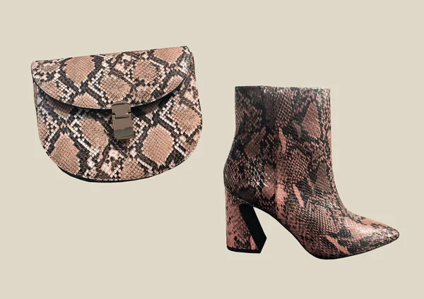 配件的组成 棕色蛇离合器和蛇皮牛仔靴被隔离在棕色的背景上 时尚休闲鞋的近景 时尚看起来像拼贴 横幅概念 时髦的衣服 — 图库照片