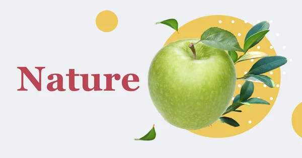 抽象的なカラフルな背景に隔離された新鮮な植物と緑のリンゴ 自然概念 コラージュバナーのデザイン コピースペース 健康食品の概念 健康的な食事 果物の食品の背景の概念 — ストック写真