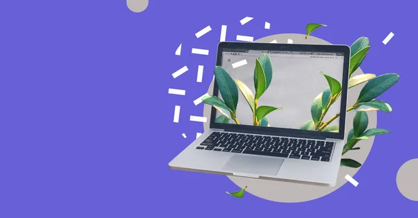 银色笔记本电脑与新鲜的植物隔离在抽象的彩色背景 设计师的工作场所 在线教育课程的概念 社交媒体 客户服务 在家工作 — 图库照片