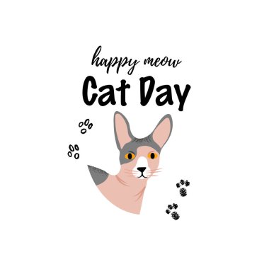 Vektör çizim. Kedi sevimli karakter karikatür tarzı. Simge abyssinian doğurmak için farklı tasarım.