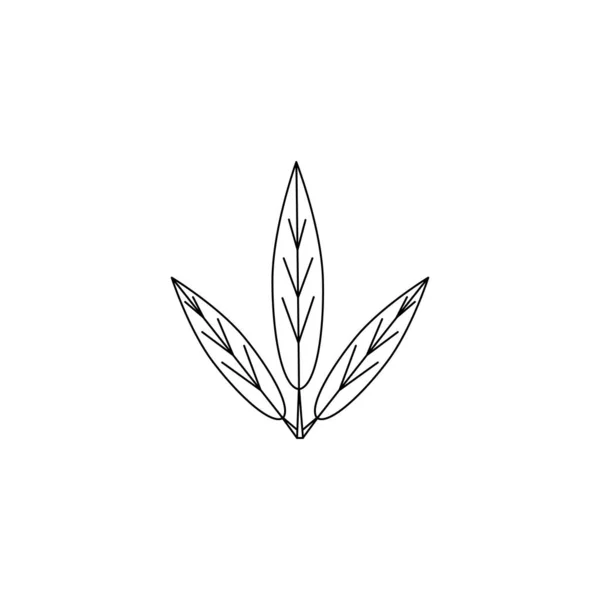 Willow Tree Leaf Jednoduše Vektorová Ilustrace — Stockový vektor