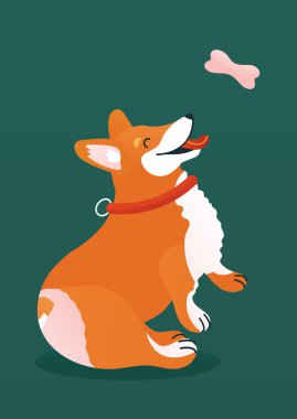 Kapak kitabı ya da tebrik kartı için Corgi simgesi. Kemikli şirin bir köpek..