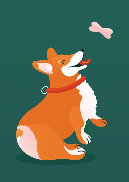 Ikoon Van Corgi Voor Een Omslag Boek Wenskaart Leuke Hond — Stockvector