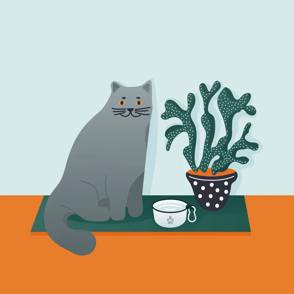 Schattige Britse Stenografisch Kat Zit Buurt Van Cactus Binnenlands Beleid Stockvector