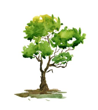 Suluboya yaz ağacı. Arka plan için el çizimi yeşil bitki, poster, afiş. Doğa