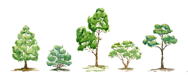 Arbres Été Aquarelle Buisson Ensemble Plantes Vertes Dessinées Main Pour — Photo