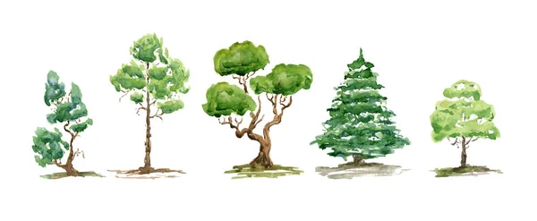 Akvarelové Letní Stromy Keře Sada Ručně Kreslených Zelených Rostlin Krajina — Stock fotografie